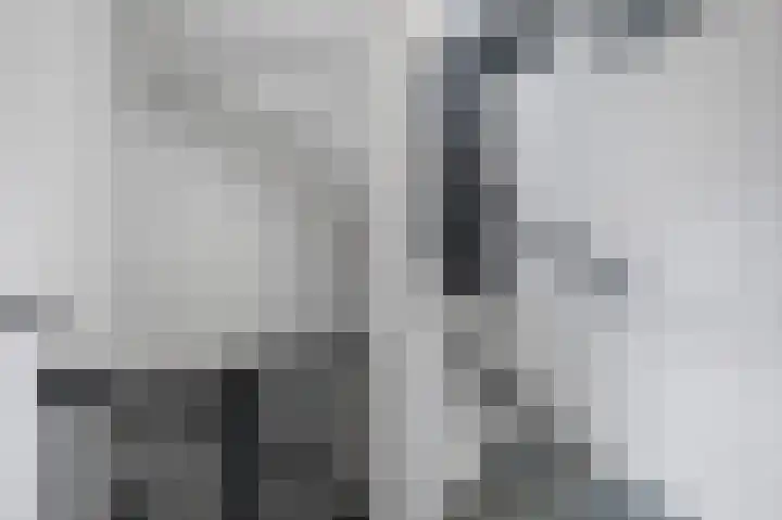 Steenbreek 61 Klazienaveen thumbnail 17