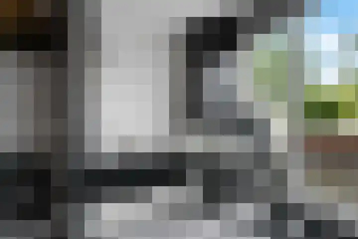 Steenbreek 61 Klazienaveen thumbnail 26