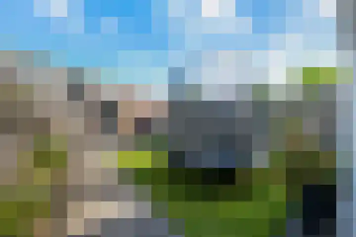 Steenbreek 61 Klazienaveen thumbnail 36