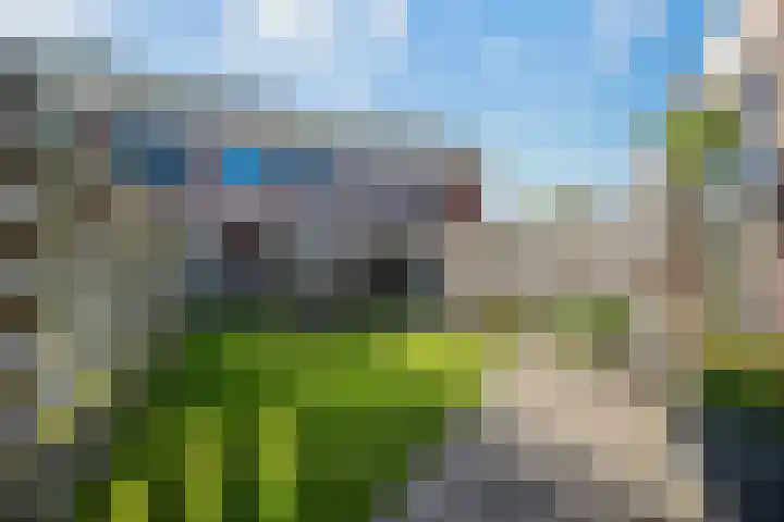 Steenbreek 61 Klazienaveen thumbnail 37
