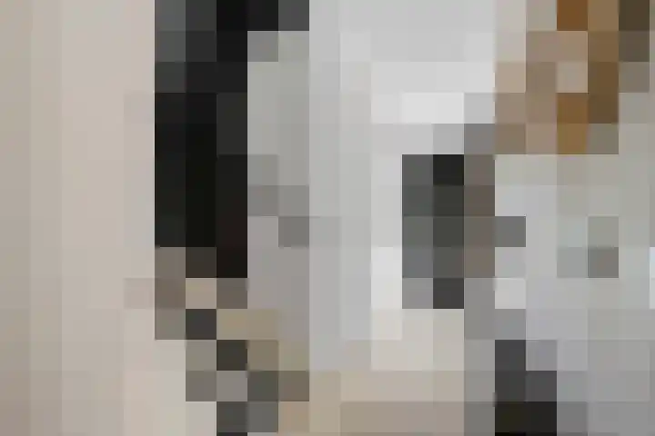 Steenbreek 61 Klazienaveen thumbnail 4