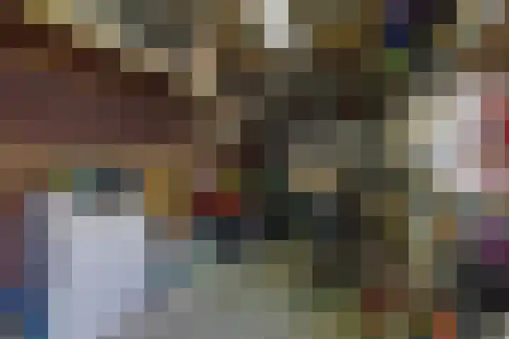 Steenbreek 61 Klazienaveen thumbnail 41