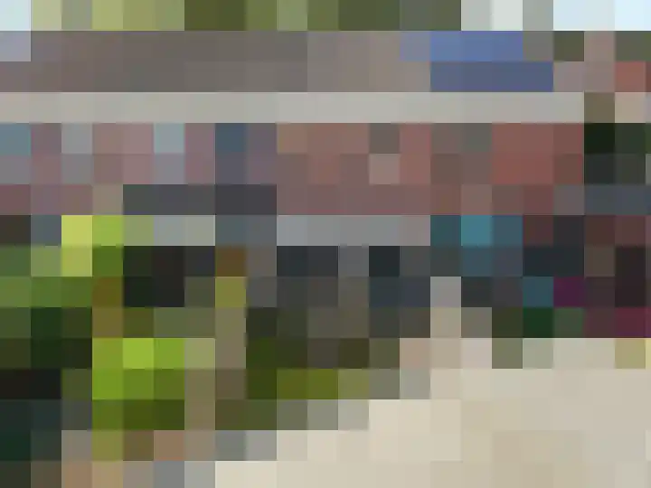 Steenbreek 61 Klazienaveen thumbnail 43