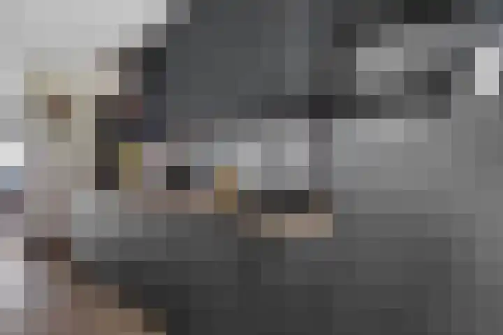 Steenbreek 61 Klazienaveen thumbnail 9