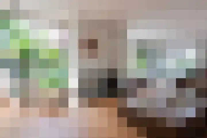 Steenbreekvaren 3 Bergschenhoek thumbnail 10