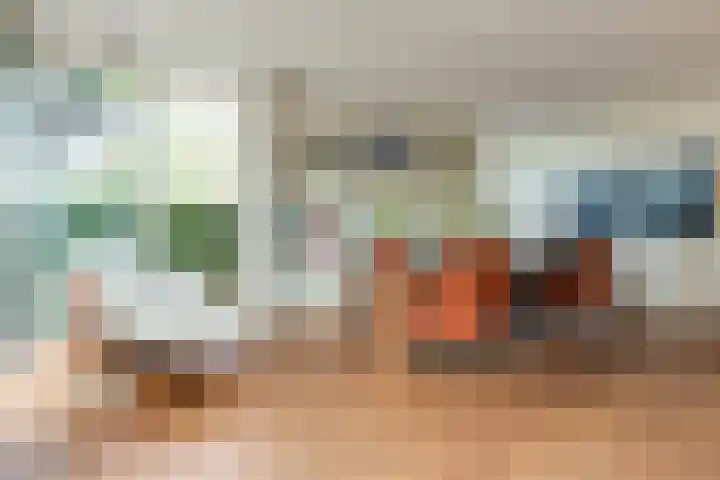 Steenbreekvaren 3 Bergschenhoek thumbnail 12