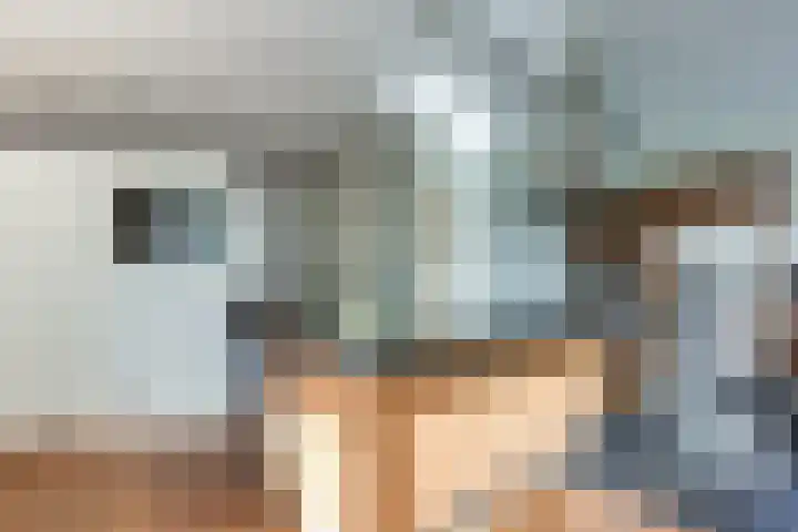 Steenbreekvaren 3 Bergschenhoek thumbnail 15