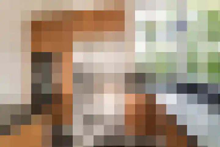 Steenbreekvaren 3 Bergschenhoek thumbnail 16
