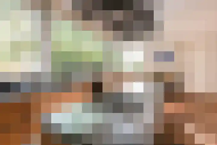 Steenbreekvaren 3 Bergschenhoek thumbnail 17
