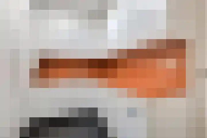 Steenbreekvaren 3 Bergschenhoek thumbnail 18