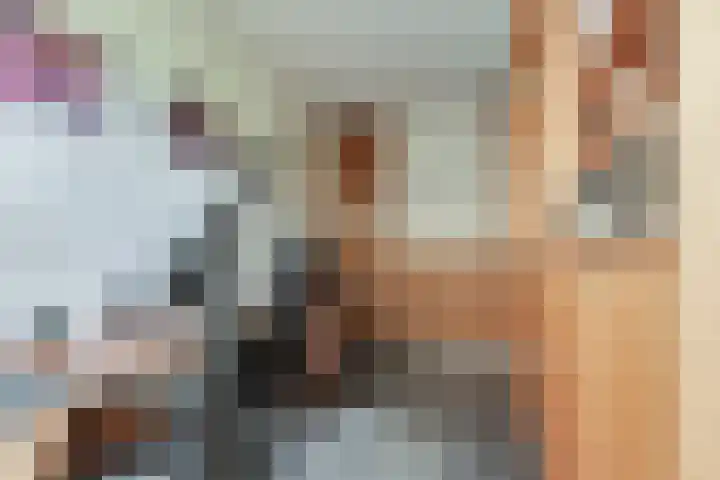 Steenbreekvaren 3 Bergschenhoek thumbnail 20