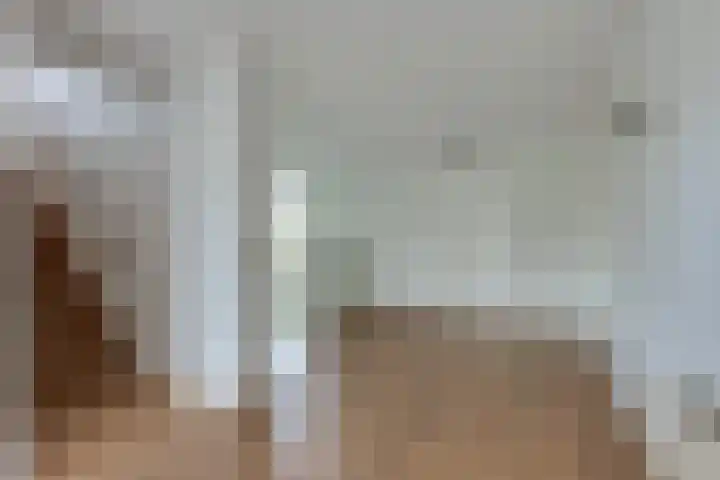 Steenbreekvaren 3 Bergschenhoek thumbnail 21