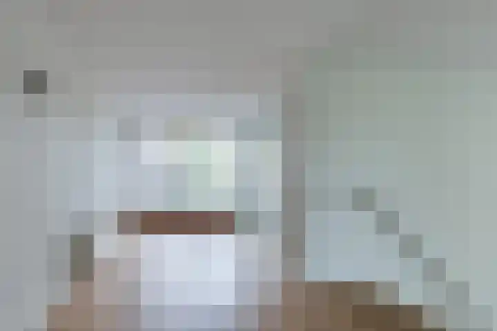 Steenbreekvaren 3 Bergschenhoek thumbnail 22