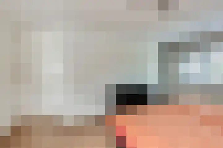 Steenbreekvaren 3 Bergschenhoek thumbnail 24