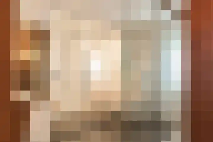 Steenbreekvaren 3 Bergschenhoek thumbnail 26