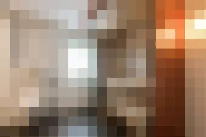 Steenbreekvaren 3 Bergschenhoek thumbnail 27