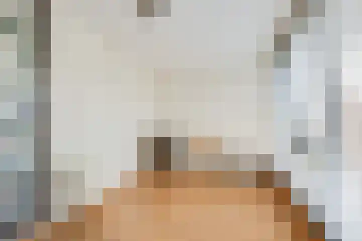Steenbreekvaren 3 Bergschenhoek thumbnail 29