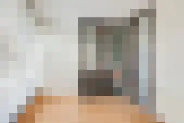 Steenbreekvaren 3 Bergschenhoek thumbnail 30