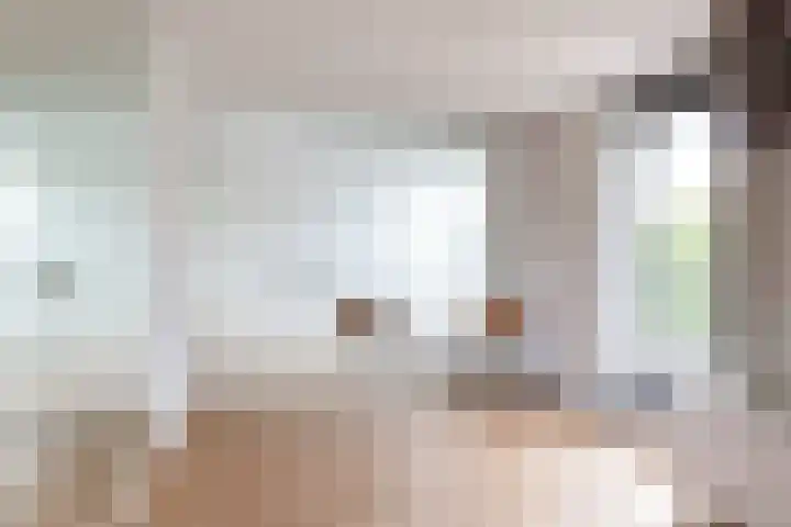Steenbreekvaren 3 Bergschenhoek thumbnail 32