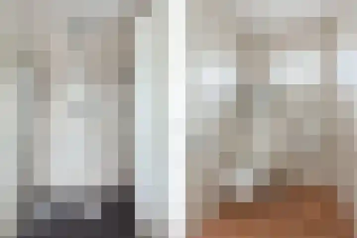 Steenbreekvaren 3 Bergschenhoek thumbnail 35