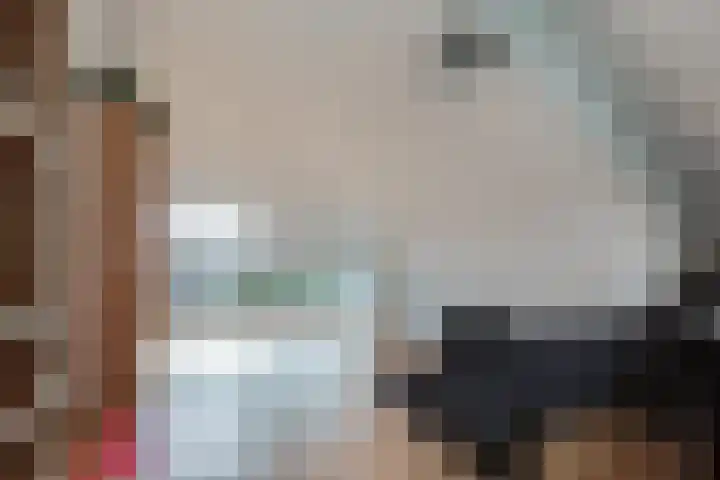 Steenbreekvaren 3 Bergschenhoek thumbnail 37