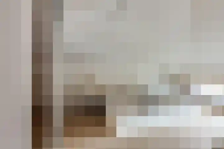 Steenbreekvaren 3 Bergschenhoek thumbnail 39