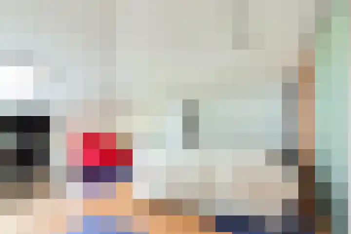 Steenbreekvaren 3 Bergschenhoek thumbnail 41