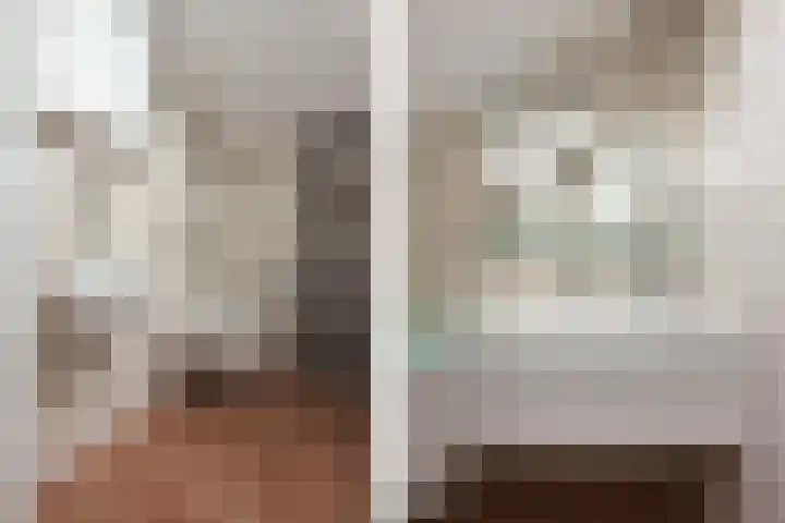 Steenbreekvaren 3 Bergschenhoek thumbnail 43