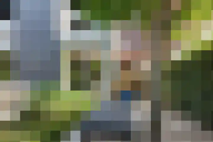 Steenbreekvaren 3 Bergschenhoek thumbnail 50