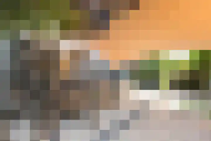Steenbreekvaren 3 Bergschenhoek thumbnail 51