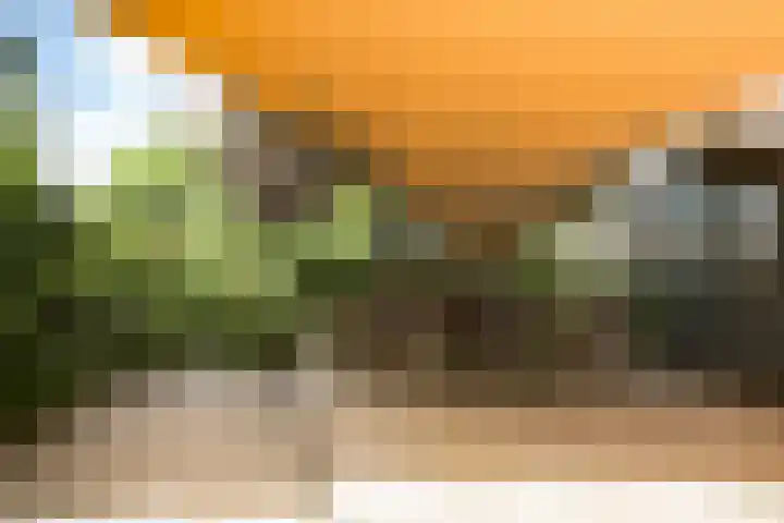 Steenbreekvaren 3 Bergschenhoek thumbnail 53