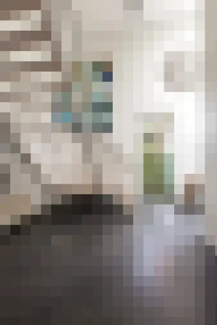 Steenbreekvaren 3 Bergschenhoek thumbnail 6
