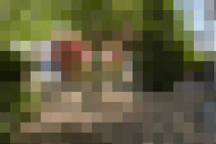 Steenbreekvaren 3 Bergschenhoek thumbnail 60
