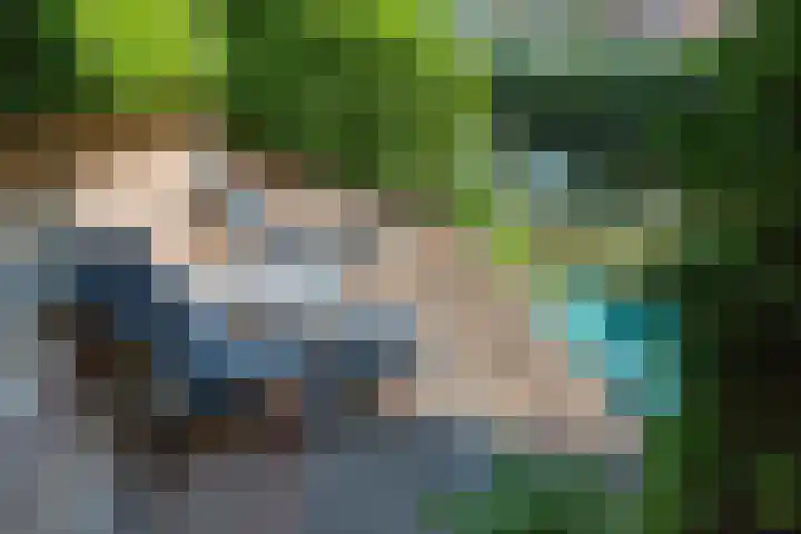 Steenbreekvaren 3 Bergschenhoek thumbnail 62