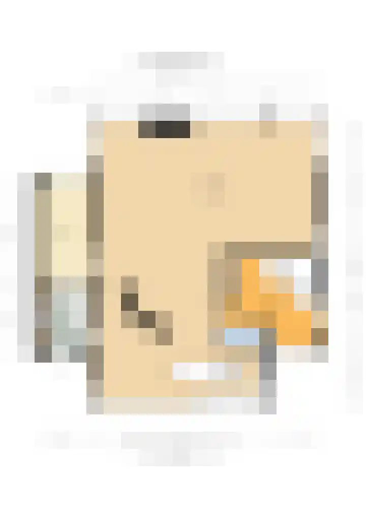 Steenbreekvaren 3 Bergschenhoek thumbnail 64