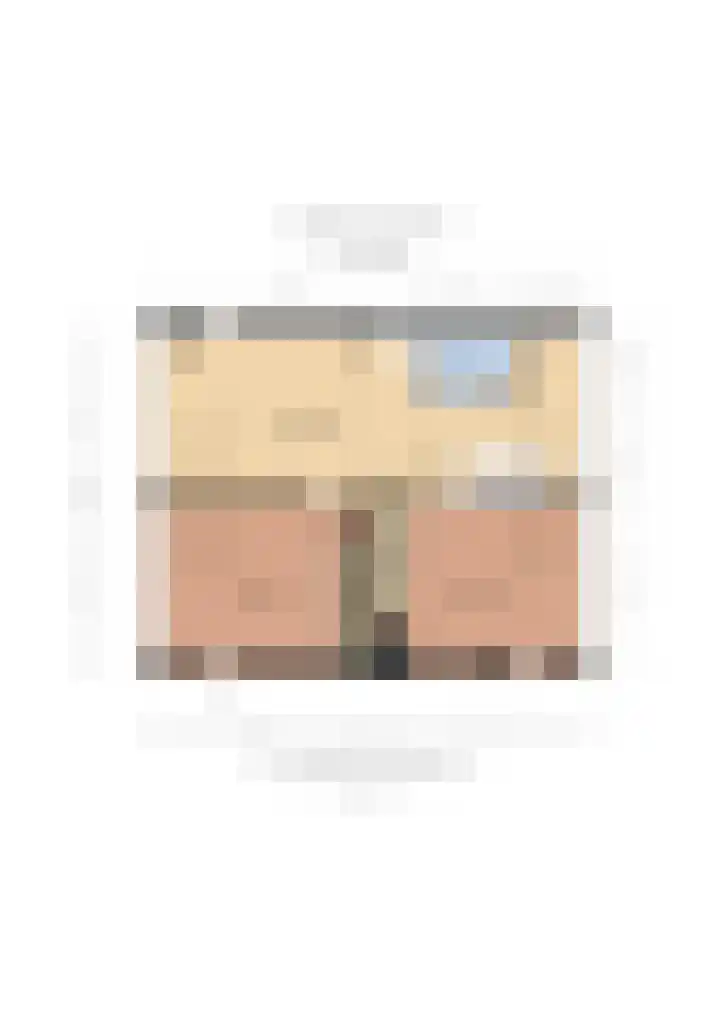 Steenbreekvaren 3 Bergschenhoek thumbnail 66