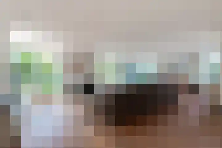 Steenbreekvaren 3 Bergschenhoek thumbnail 8