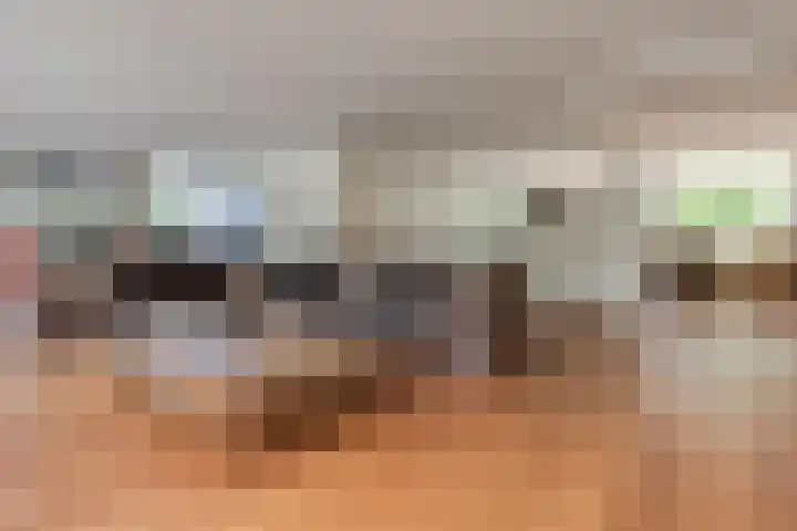 Steenbreekvaren 3 Bergschenhoek thumbnail 9