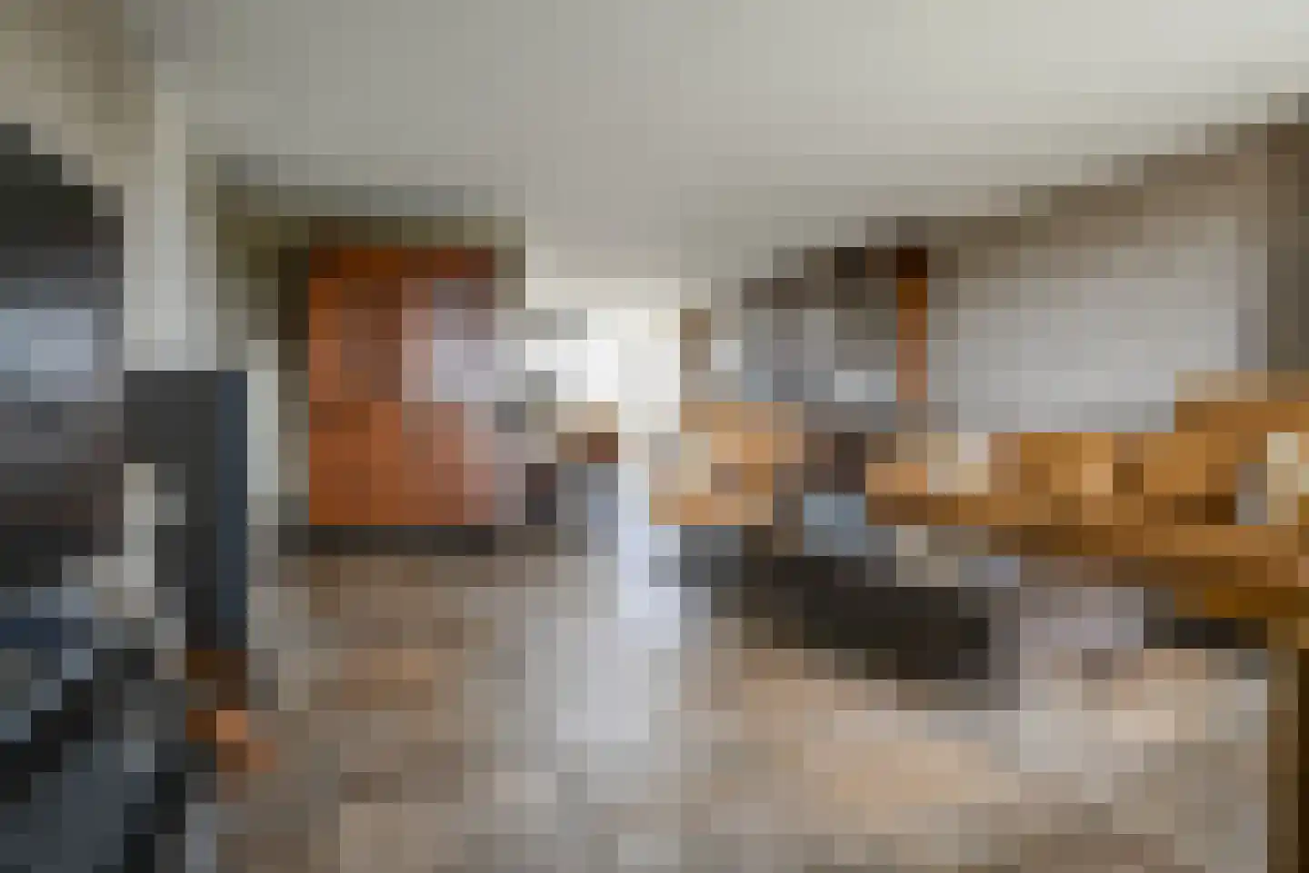 Steenbreekvaren 34 Bergschenhoek thumbnail 10