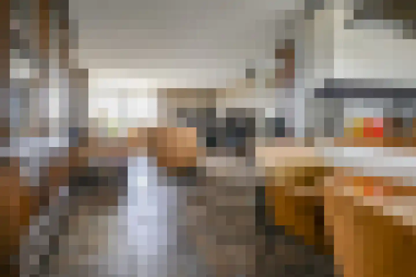 Steenbreekvaren 34 Bergschenhoek thumbnail 12