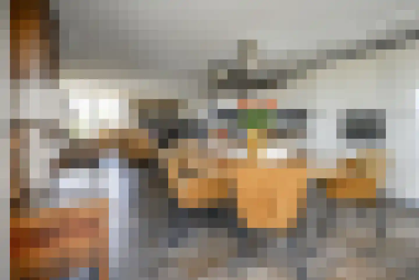 Steenbreekvaren 34 Bergschenhoek thumbnail 13