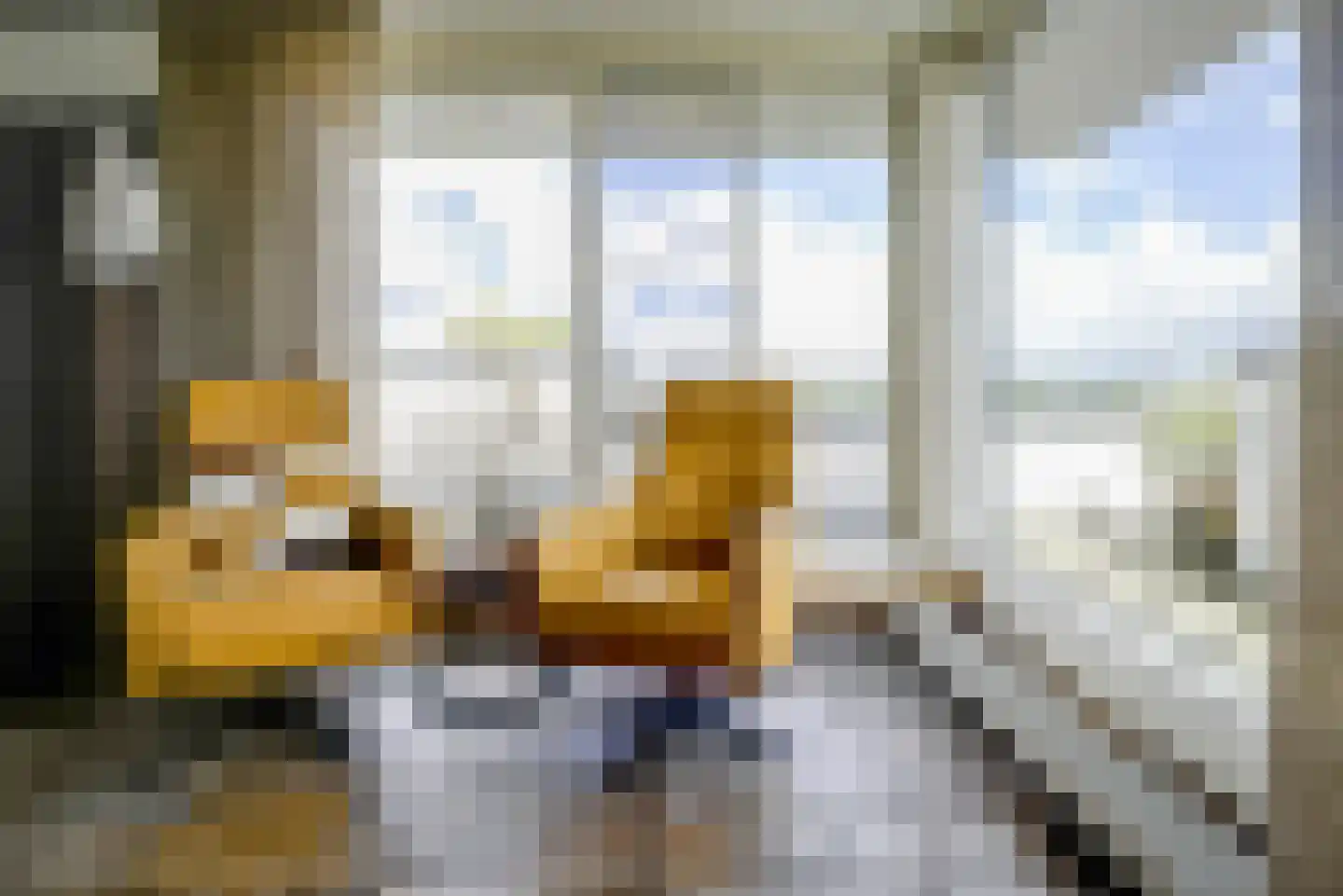 Steenbreekvaren 34 Bergschenhoek thumbnail 17