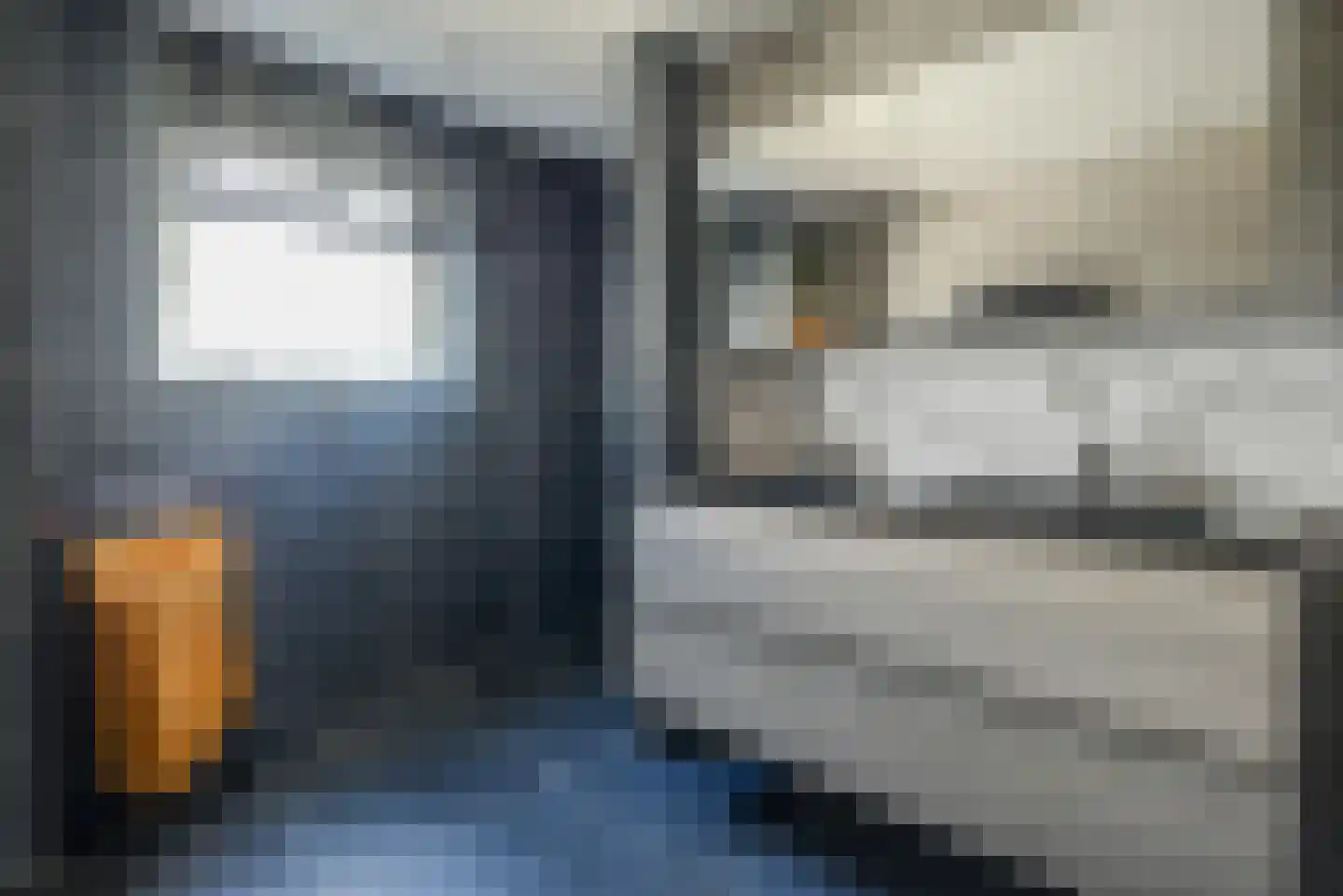 Steenbreekvaren 34 Bergschenhoek thumbnail 18