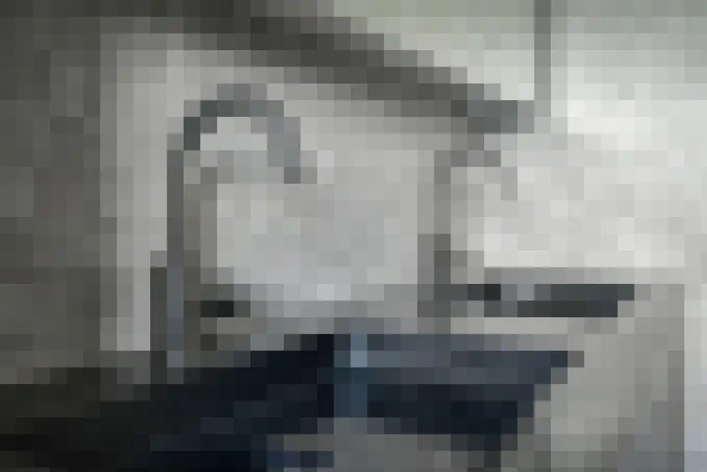 Steenbreekvaren 34 Bergschenhoek thumbnail 18