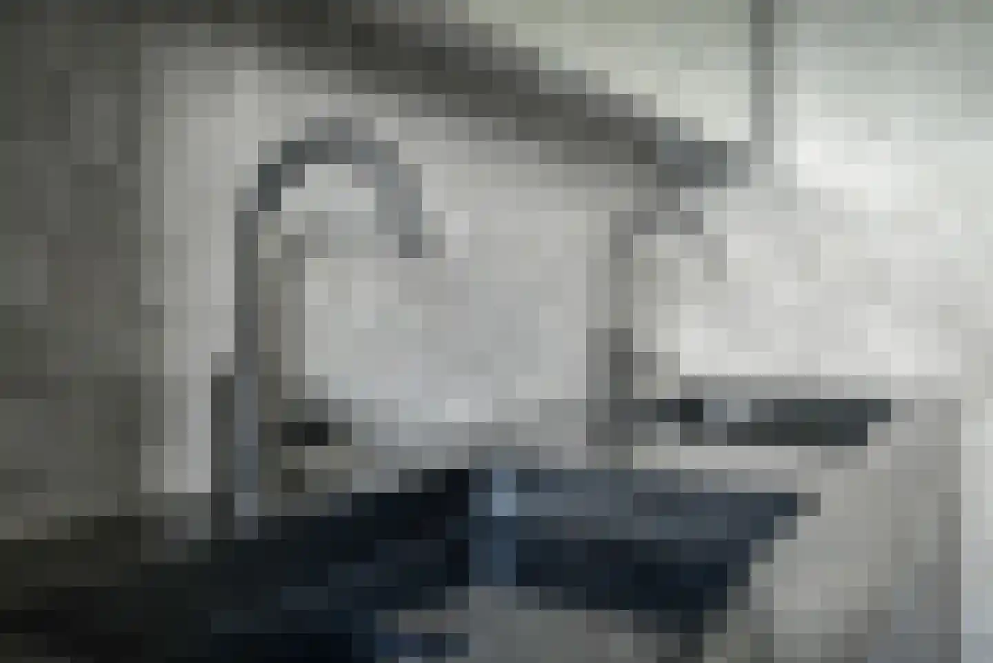 Steenbreekvaren 34 Bergschenhoek thumbnail 19