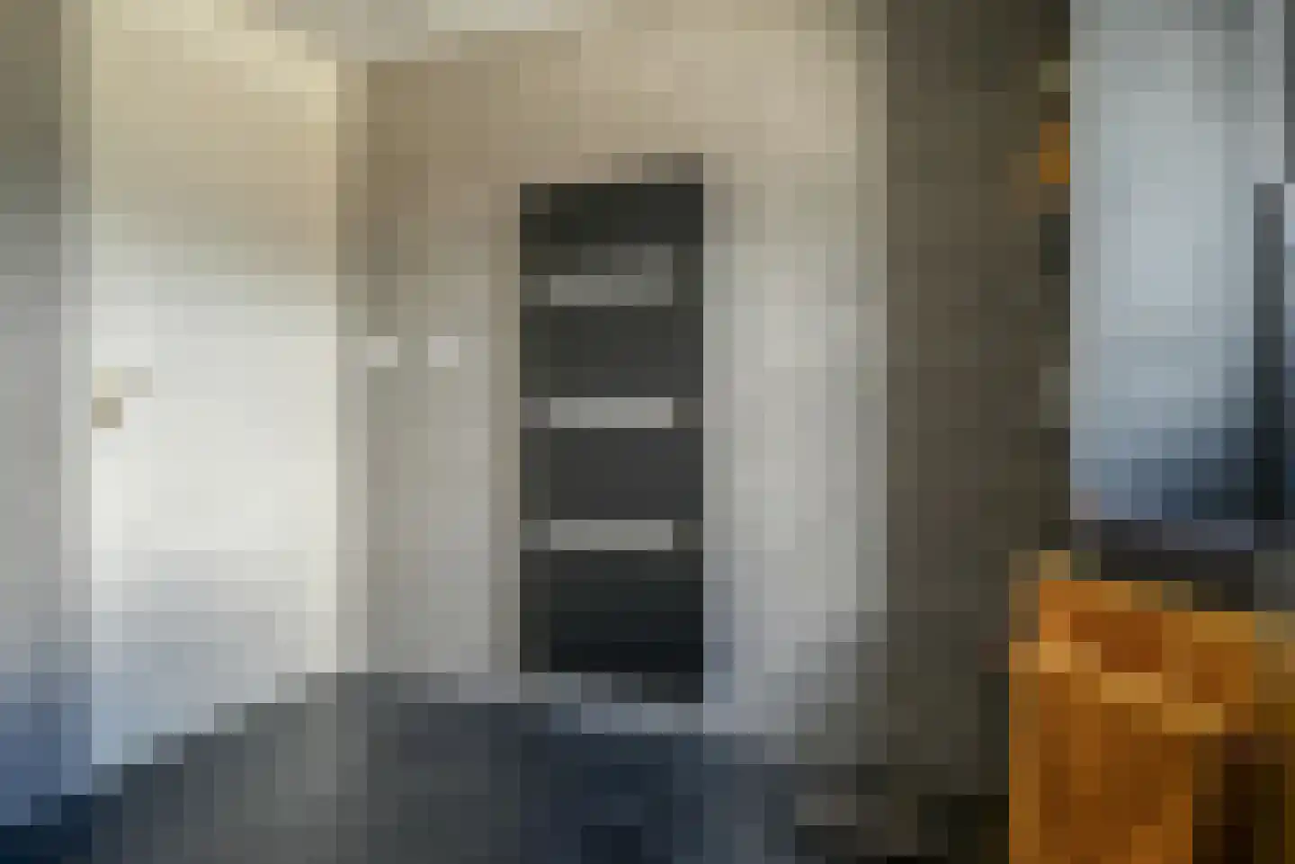 Steenbreekvaren 34 Bergschenhoek thumbnail 20