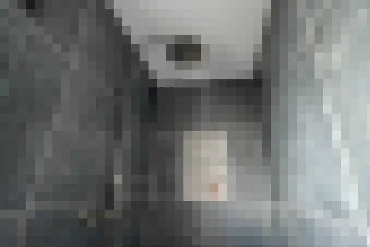 Steenbreekvaren 34 Bergschenhoek thumbnail 20