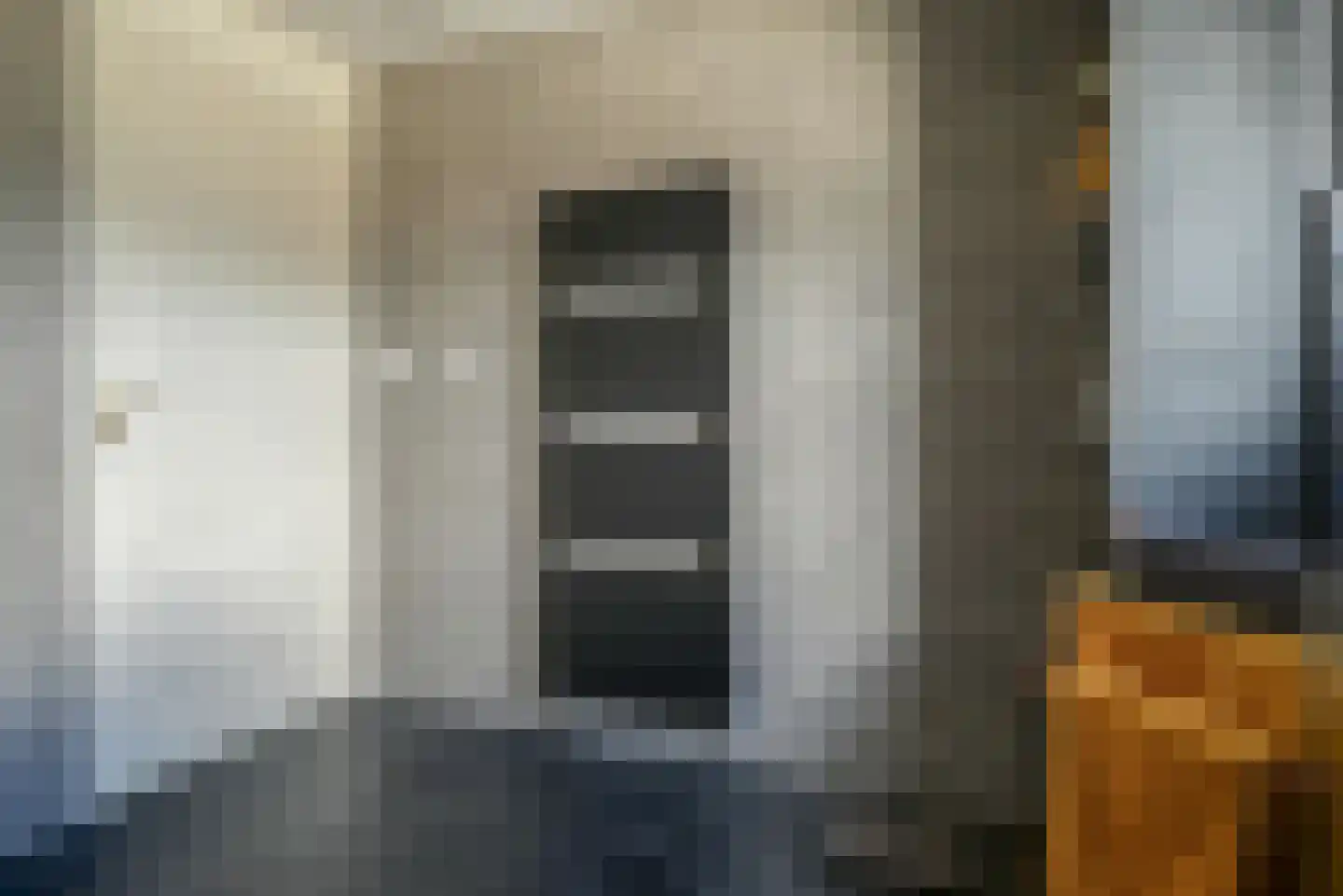 Steenbreekvaren 34 Bergschenhoek thumbnail 21