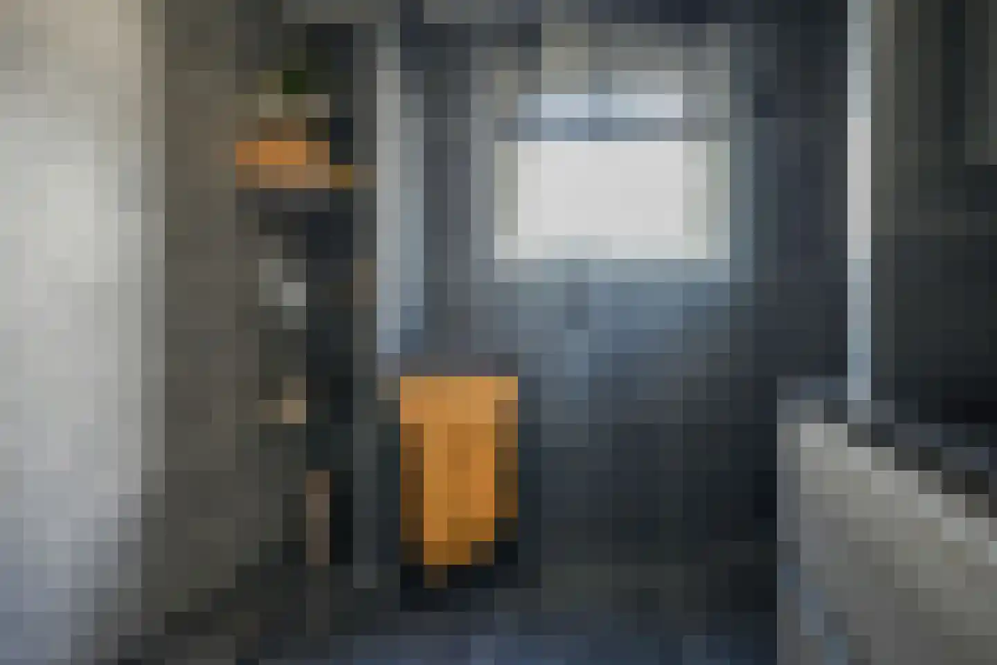 Steenbreekvaren 34 Bergschenhoek thumbnail 22