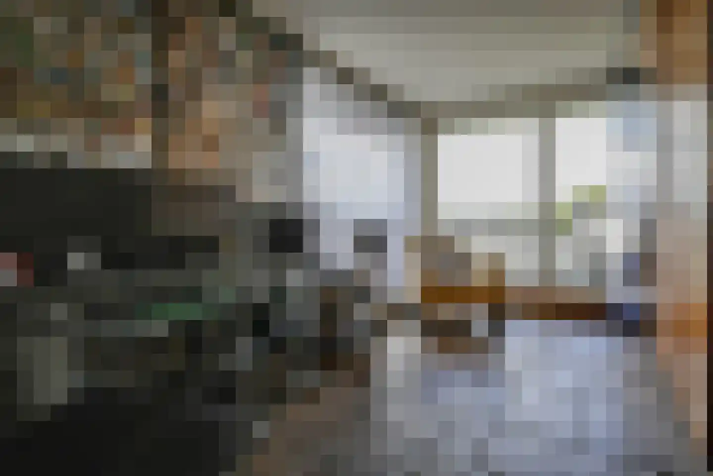 Steenbreekvaren 34 Bergschenhoek thumbnail 23